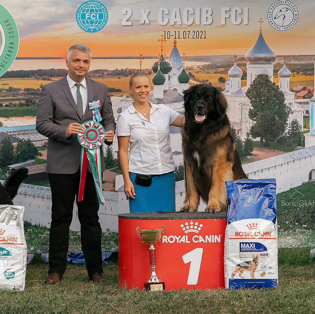 Международная Выставка Собак в городе Переславль Залесский